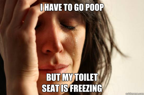 i Have to go poop  but my Toilet 
seat is freezing  First World Problems