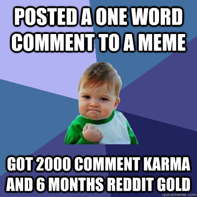 Posted a one word comment to a meme got 2000 Comment Karma and 6 months Reddit Gold - Posted a one word comment to a meme got 2000 Comment Karma and 6 months Reddit Gold  Success Kid
