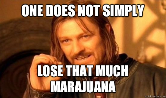 One Does Not Simply Lose that much marajuana  Boromir