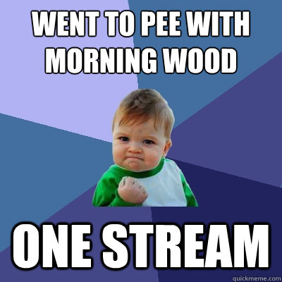 Went to pee with morning wood one stream  Success Kid