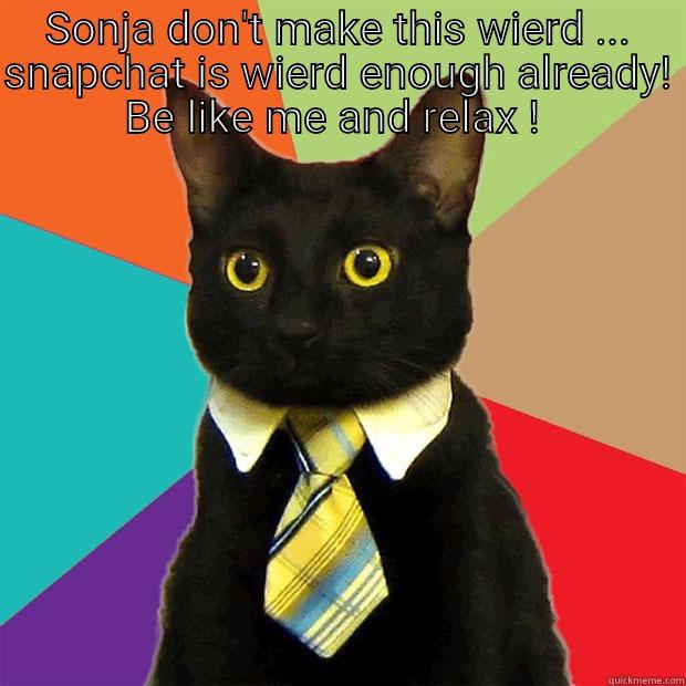 Reassurance cat!  - SONJA DON'T MAKE THIS WIERD ... SNAPCHAT IS WIERD ENOUGH ALREADY! BE LIKE ME AND RELAX !   Business Cat