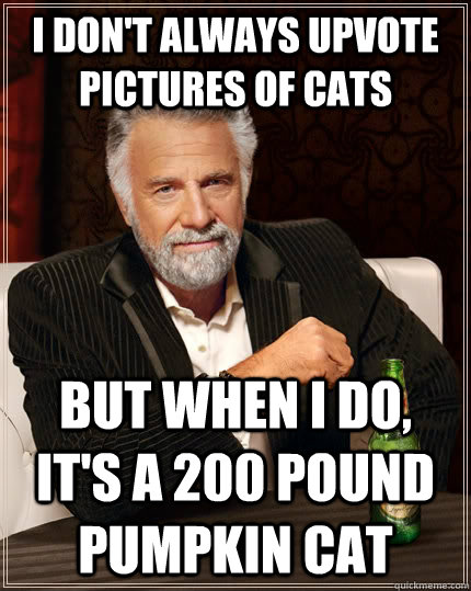 I don't always upvote pictures of cats but when I do, it's a 200 pound pumpkin cat  The Most Interesting Man In The World