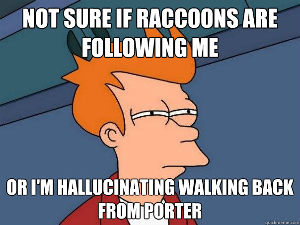 Not sure if raccoons are following me Or I'm hallucinating walking back from porter  Futurama Fry