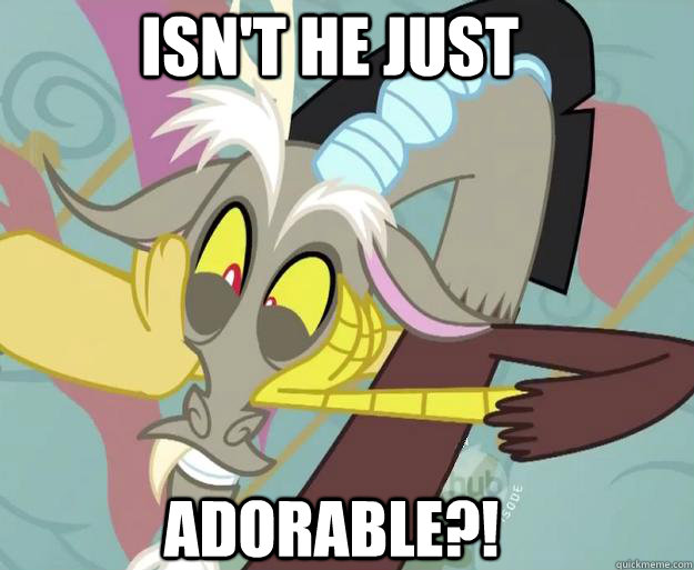 Isn't he just ADORABLE?!  Discord