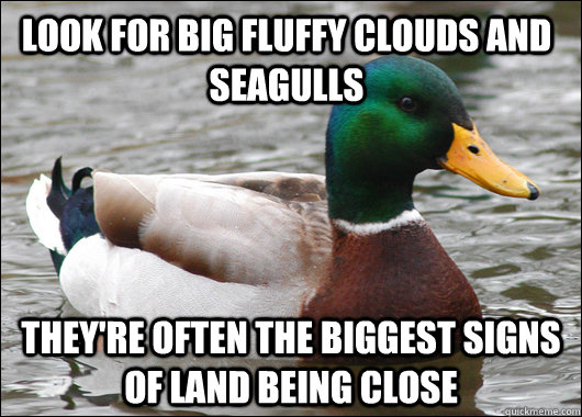Look for big fluffy clouds and seagulls They're often the biggest signs of land being close  Actual Advice Mallard