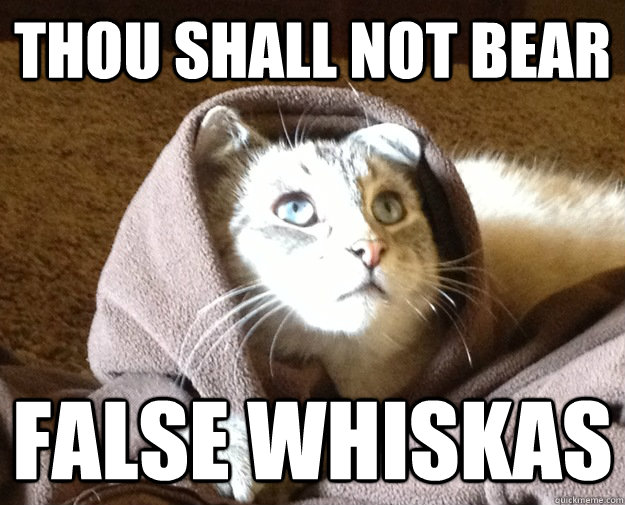 thou shall not bear false whiskas  Kitty Jesus