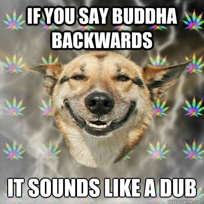 If you say buddha backwards it sounds like a dub  Stoner Dog