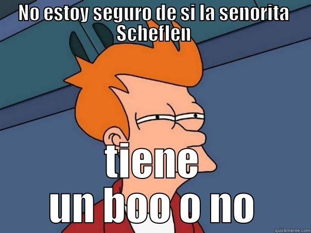 NO ESTOY SEGURO DE SI LA SENORITA SCHEFLEN TIENE UN BOO O NO Futurama Fry