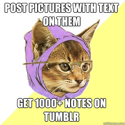 Post pictures with text on them get 1000+ notes on tumblr  Hipster Kitty