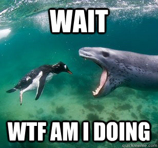 wait WTF AM I DOING - wait WTF AM I DOING  Confused Penguin