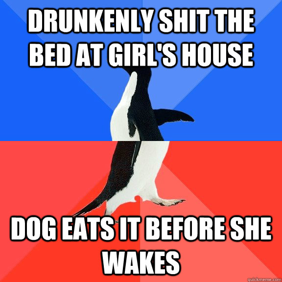 drunkenly Shit the bed at girl's house Dog eats it before she wakes  Socially Awkward Awesome Penguin