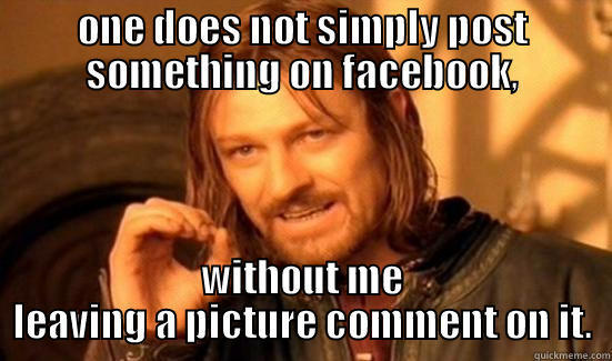 ONE DOES NOT SIMPLY POST SOMETHING ON FACEBOOK, WITHOUT ME LEAVING A PICTURE COMMENT ON IT. Boromir