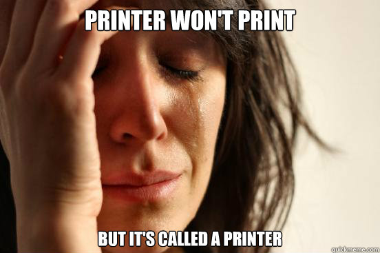 Printer won't print But it's called a printer  First World Problems