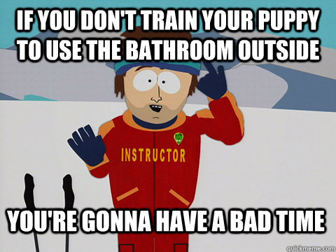 if you don't train your puppy to use the bathroom outside You're gonna have a bad time  Bad Time