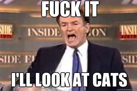 fuck it I'll look at cats  Fuck It Bill OReilly