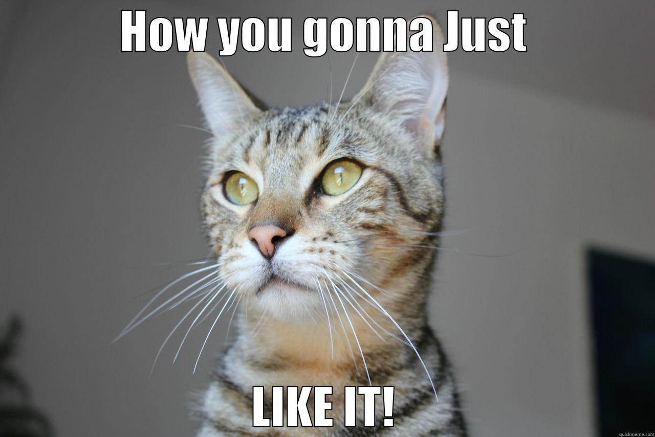 HOW YOU GONNA JUST LIKE IT! Misc