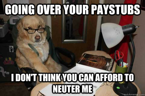 going over your paystubs i don't think you can afford to neuter me - going over your paystubs i don't think you can afford to neuter me  Misc