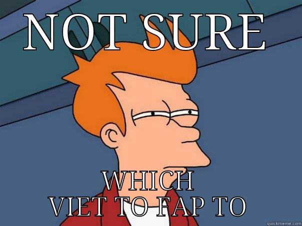 NOT SURE WHICH VIET TO FAP TO Futurama Fry