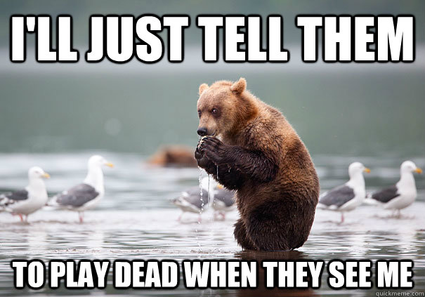 I'll just tell them To play dead when they see me  - I'll just tell them To play dead when they see me   Evil Scheme Bear
