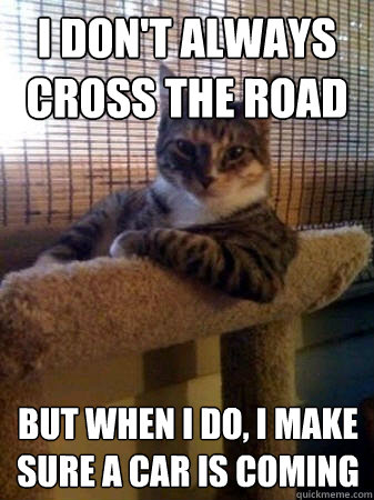 I don't always cross the road but when I do, I make sure a car is coming  The Most Interesting Cat in the World