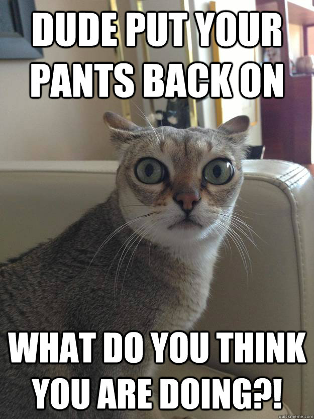 Dude put your pants back on what do you think you are doing?! - Dude put your pants back on what do you think you are doing?!  Misc