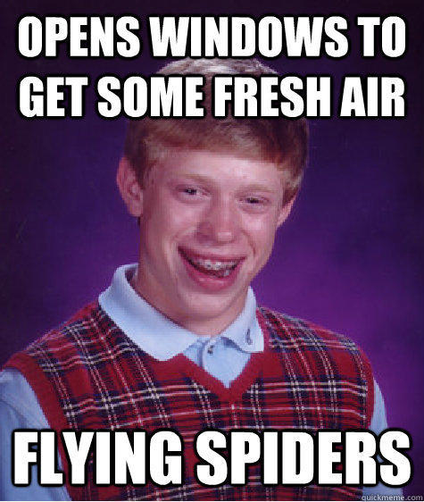 opens windows to get some fresh air flying spiders - opens windows to get some fresh air flying spiders  Bad Luck Brian