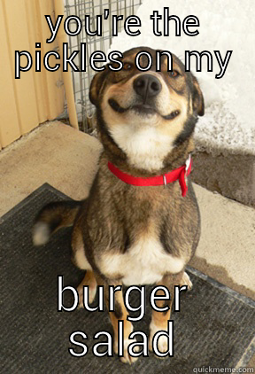 YOU'RE THE PICKLES ON MY BURGER SALAD Good Dog Greg