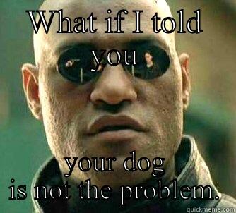 Matrix dog - WHAT IF I TOLD YOU YOUR DOG IS NOT THE PROBLEM. Matrix Morpheus