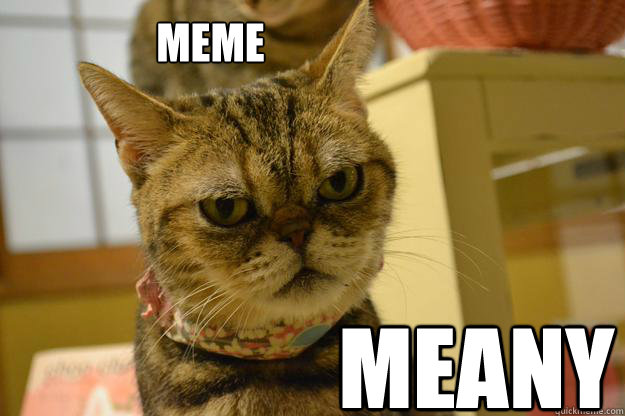 Meme MEANY  Angry Cat