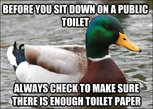 Before you sit down on a public toilet Always check to make sure there is enough toilet paper  Actual Advice Mallard