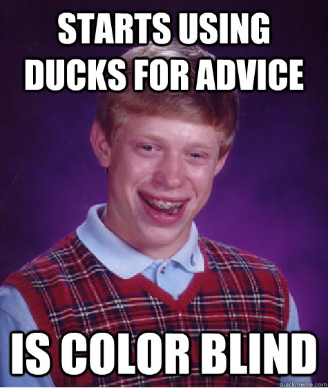 Starts using ducks for advice Is color blind - Starts using ducks for advice Is color blind  Bad Luck Brian