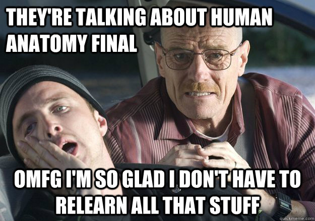 They're talking about human anatomy final OMFG I'm so glad I don't have to relearn all that stuff  