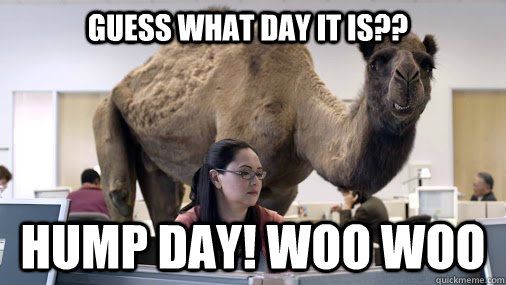 GUESS WHAT DAY IT IS?? HUMP DAY! WOO WOO  