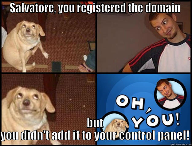 SALVATORE, YOU REGISTERED THE DOMAIN BUT YOU DIDN'T ADD IT TO YOUR CONTROL PANEL! Oh you!