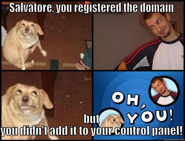 asdfa efqwerf3 ef - SALVATORE, YOU REGISTERED THE DOMAIN BUT YOU DIDN'T ADD IT TO YOUR CONTROL PANEL! Oh you!