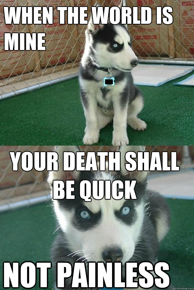 When the world is mine Your death shall be quick not painless  Insanity puppy