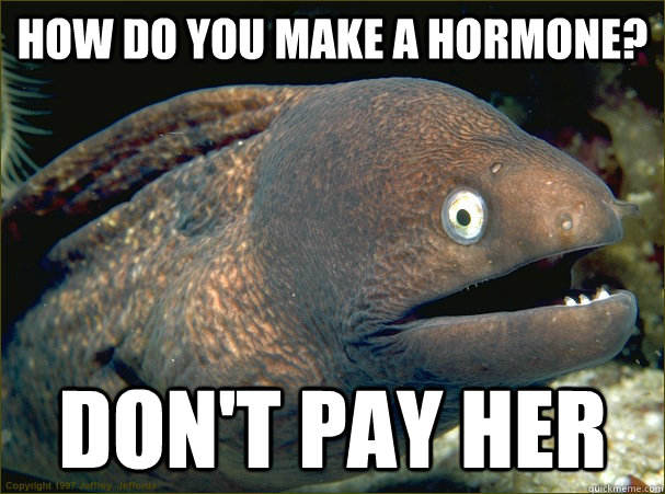 how do you make a hormone? Don't pay her - how do you make a hormone? Don't pay her  Bad Joke Eel