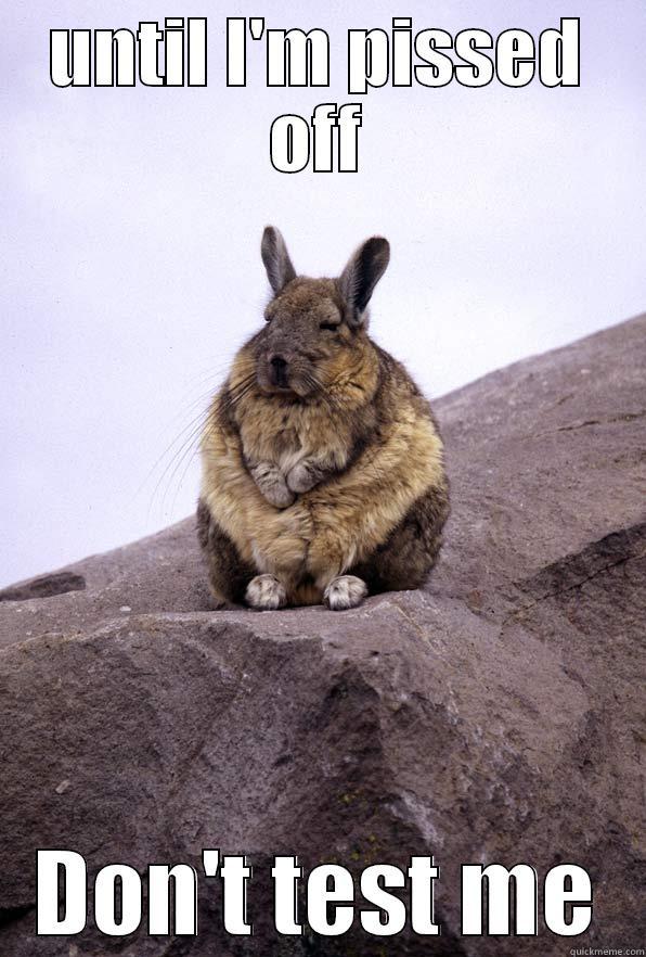 UNTIL I'M PISSED OFF DON'T TEST ME Wise Wondering Viscacha