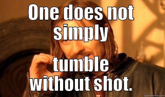 ONE DOES NOT SIMPLY TUMBLE WITHOUT SHOT. Boromir