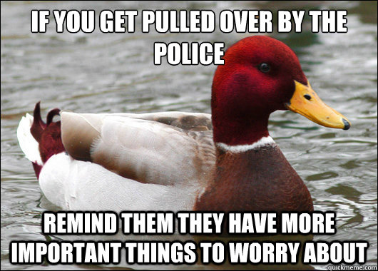 If you get pulled over by the police
 remind them they have more important things to worry about  Malicious Advice Mallard