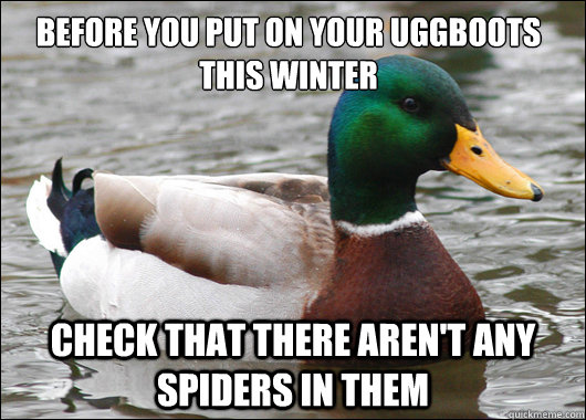 Before you put on your UggBoots this winter Check that there aren't any spiders in them  Actual Advice Mallard