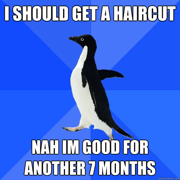 I should get a haircut Nah Im good for another 7 months  Socially Awkward Penguin