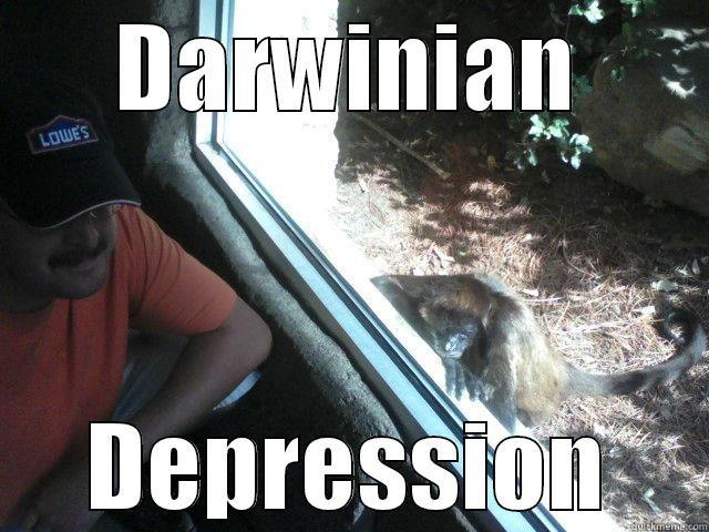 Monkey Therapy - DARWINIAN DEPRESSION Misc
