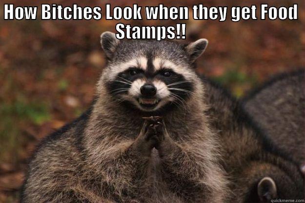 HOW BITCHES LOOK WHEN THEY GET FOOD STAMPS!!  Evil Plotting Raccoon