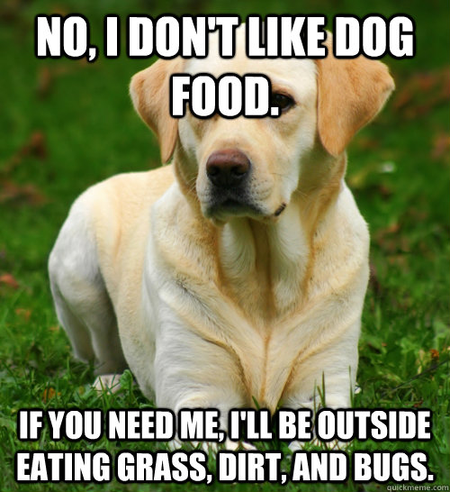 No, I don't like dog food. If you need me, I'll be outside eating grass, dirt, and bugs. - No, I don't like dog food. If you need me, I'll be outside eating grass, dirt, and bugs.  Dog Logic