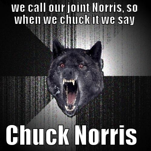 WE CALL OUR JOINT NORRIS, SO WHEN WE CHUCK IT WE SAY   CHUCK NORRIS   Insanity Wolf