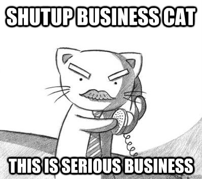 Shutup Business cat This is serious business  