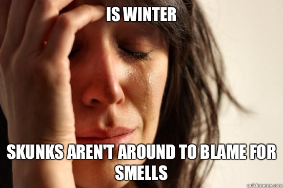 Is Winter Skunks aren't around to blame for smells  First World Problems