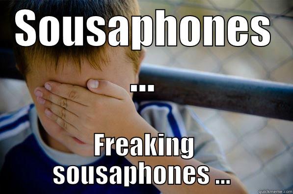 SOUSAPHONES ... FREAKING SOUSAPHONES ...  Confession kid