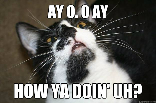 AY O. O Ay how ya doin' uH? - AY O. O Ay how ya doin' uH?  Cat meme